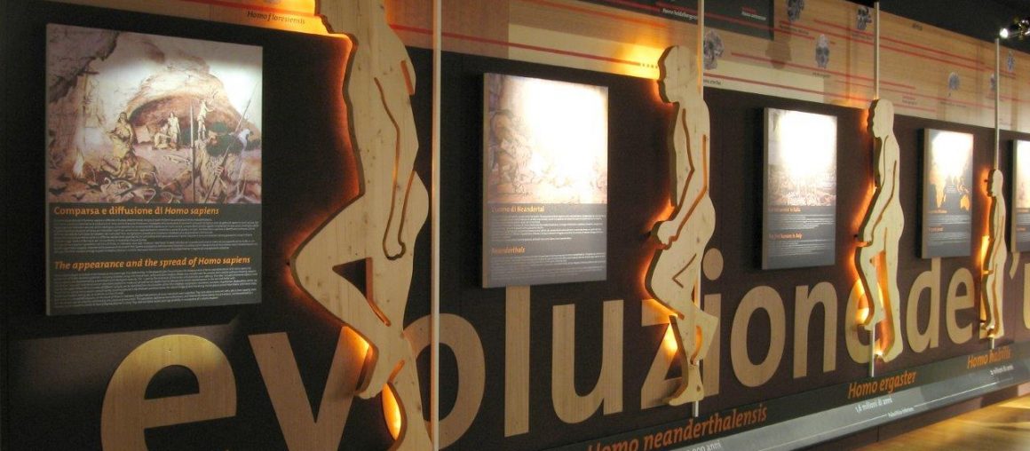 Museo sull'evoluzione dell'uomo.