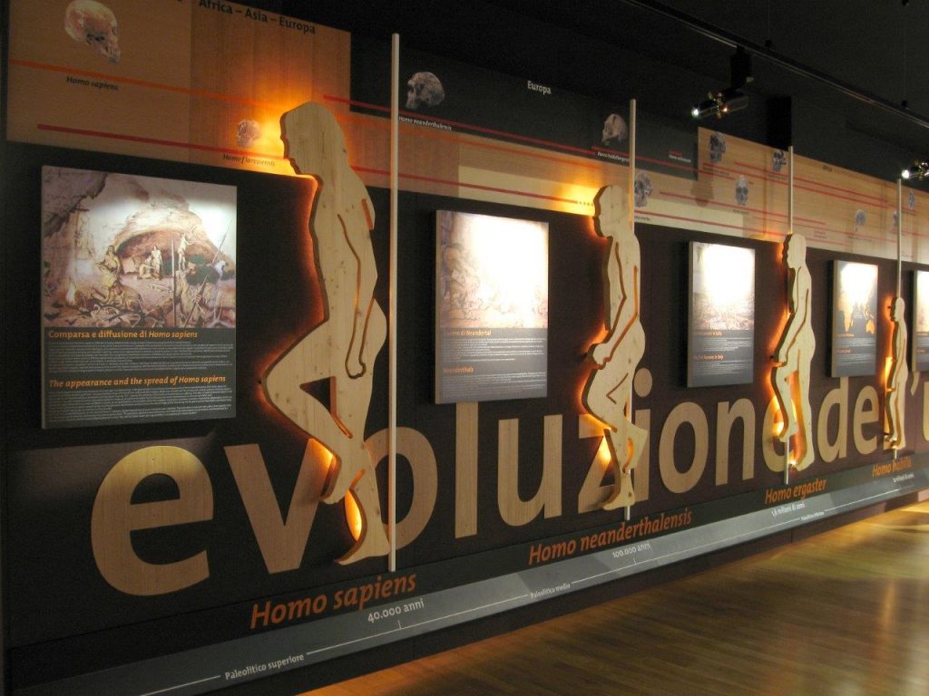 Museo sull’evoluzione dell’uomo